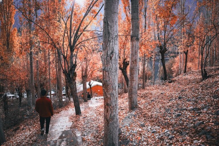 Skardu & Hunza Tour