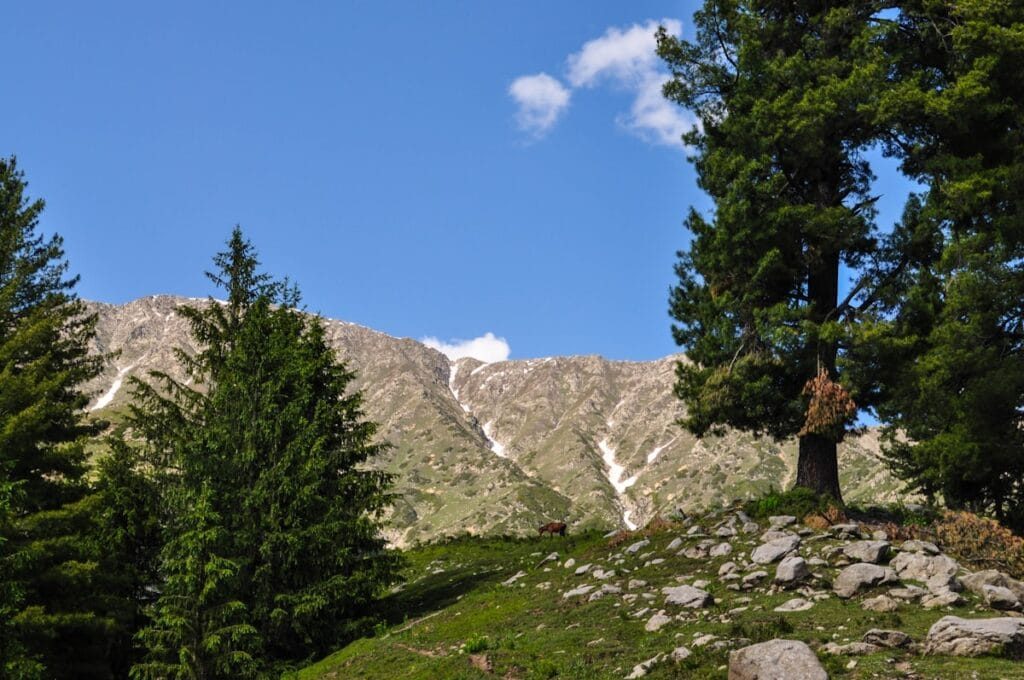 Family tours Pakistan: a family walking a valley path below the Karakoram peaks