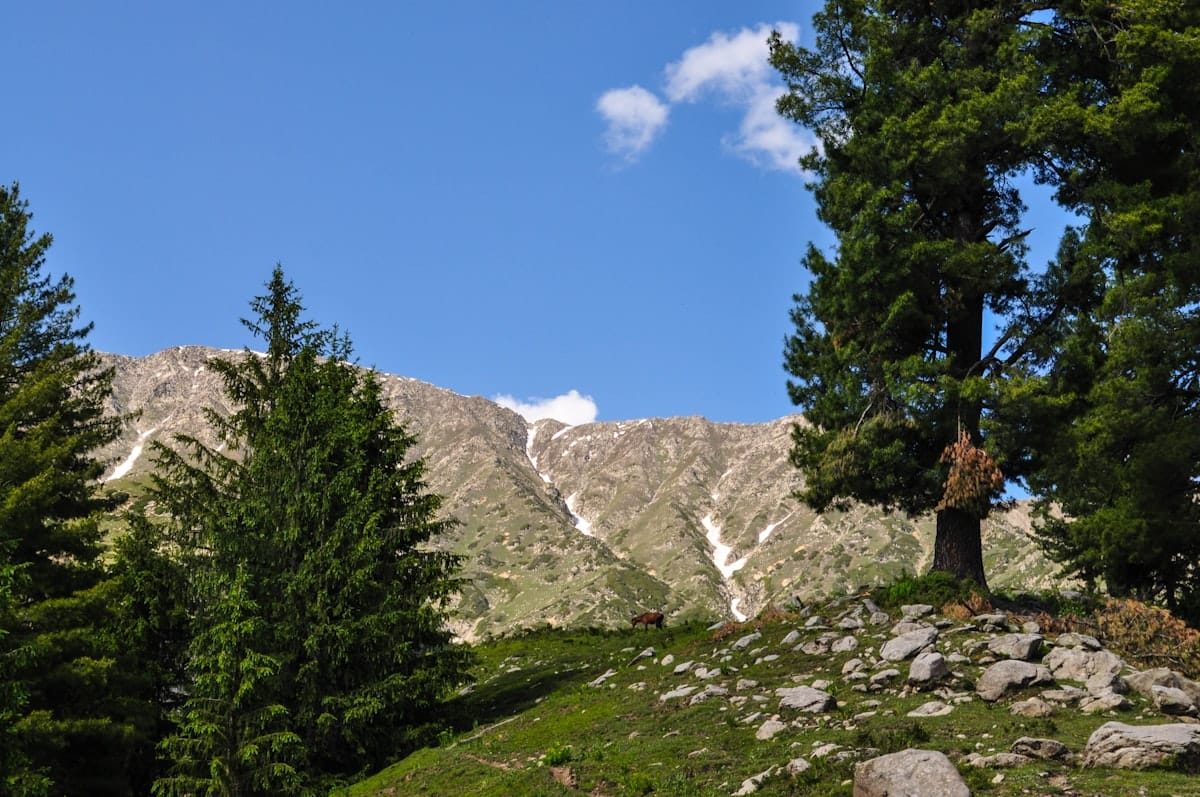 Family hiking together in the mountain valleys of northern Pakistan