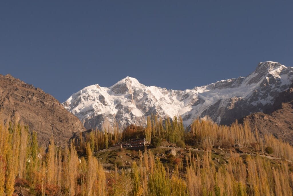 Ciliegi in fiore sulle terrazze di Hunza con le cime innevate dietro
