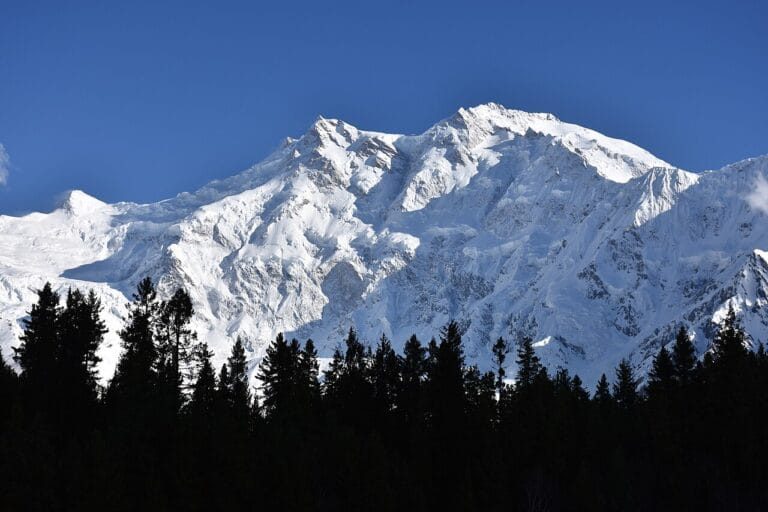 Nanga Parbat Expedition (8,126 m)