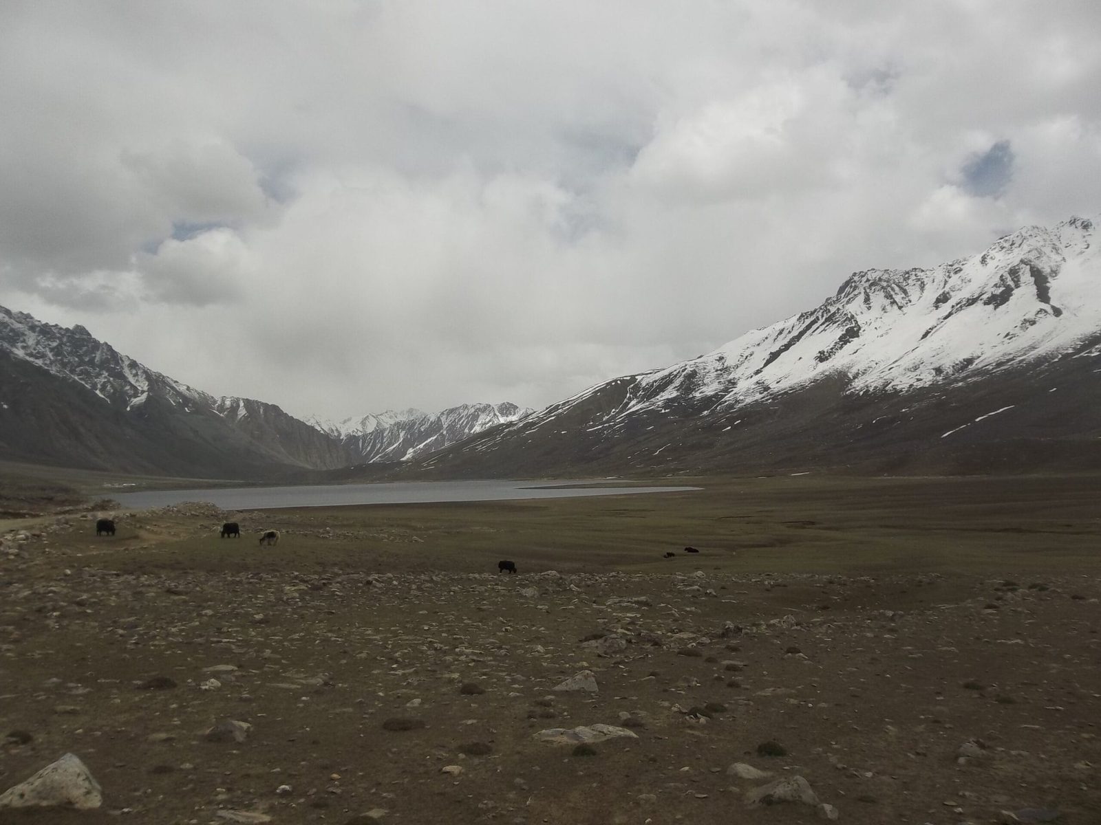 Shandur National Park high alpine plateau near the Shandur Pass