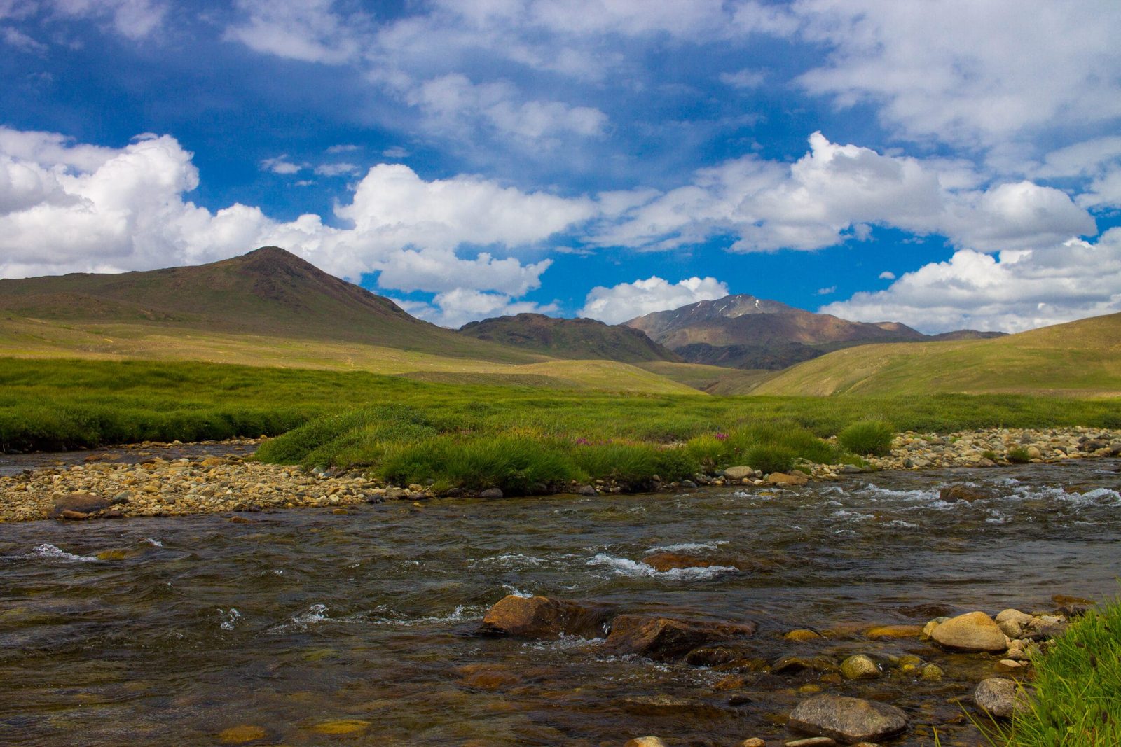 Open grassland and streams on the Deosai plateau near Skardu