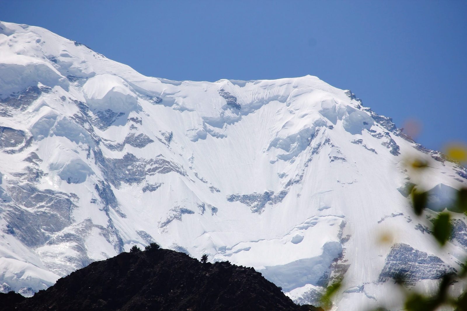 Rakaposhi viewed from Tagafari meadow base camp above Minapin, Nagar valley