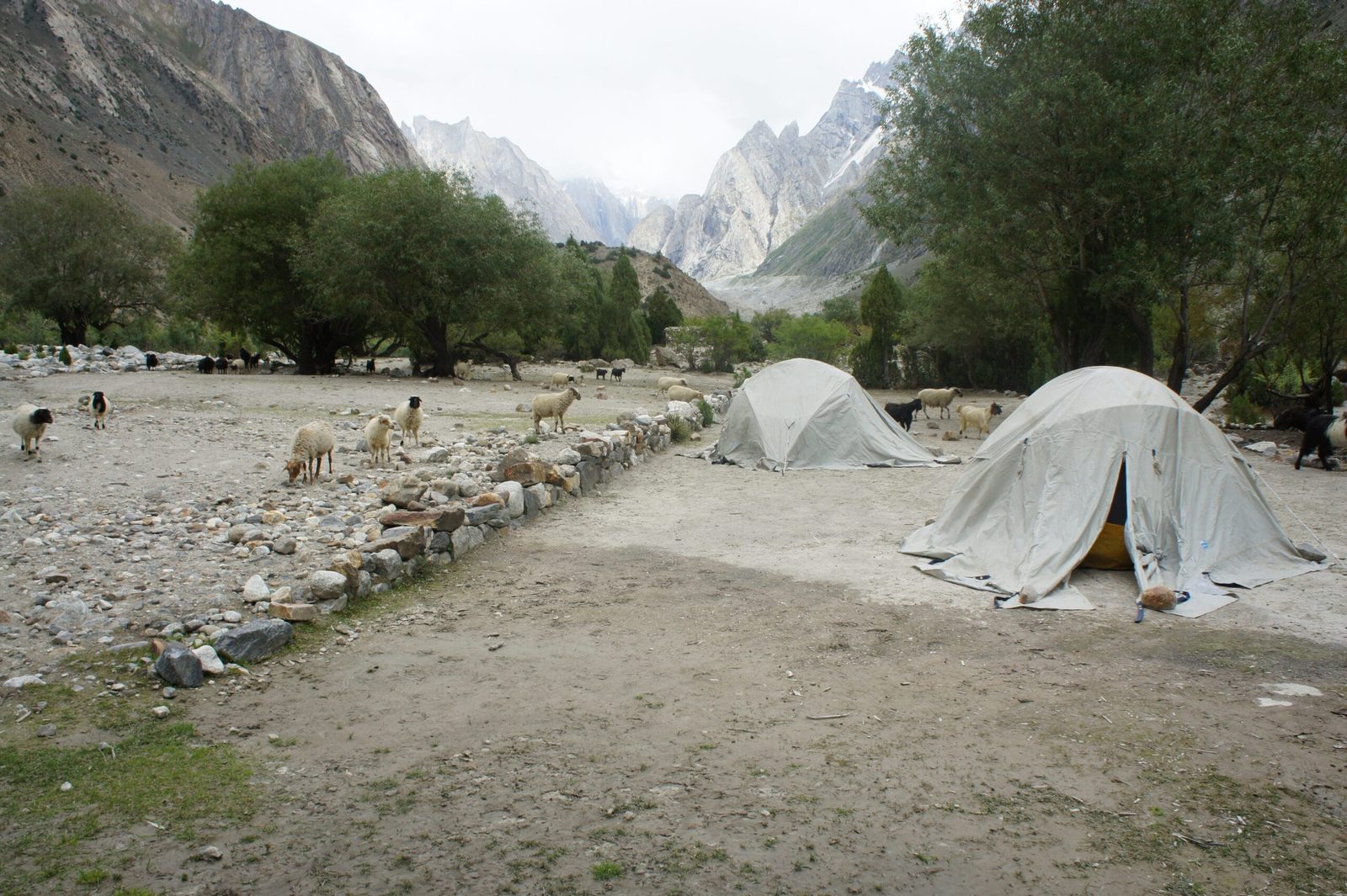 Il campo di Saicho alla confluenza tra la valle del Charakusa e la valle del ghiacciaio Gondogoro, Hushe, Pakistan