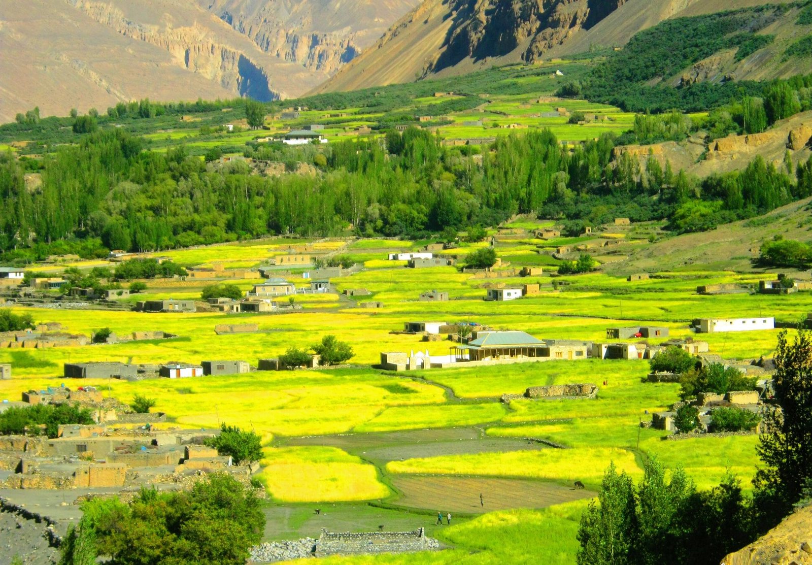 Campi verdi e case in pietra del villaggio di Shimshal a luglio, alta Hunza, Gilgit-Baltistan, il ghiaccio che il trek del Khurdopin Pass attraversa