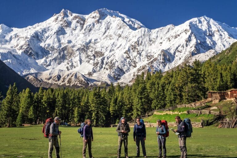 Fairy Meadows Trek