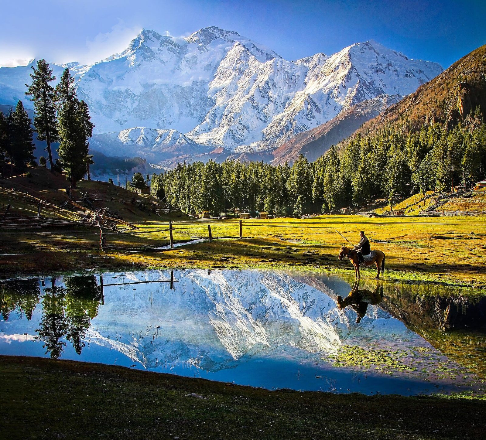 Nanga Parbat: Der Schicksalsberg der Deutschen — Geschichte, Buhl, Messner und die Märchenwiese